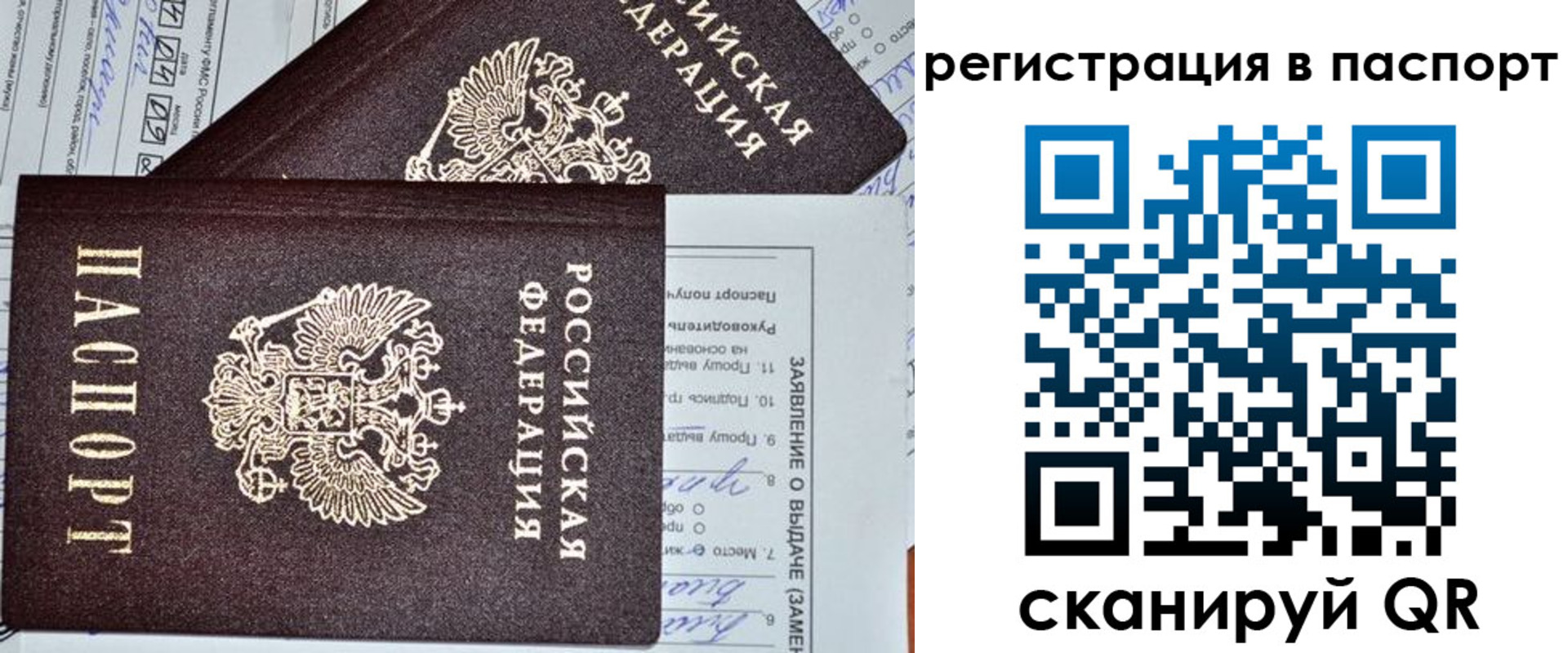 прописка законно в Электрогорске